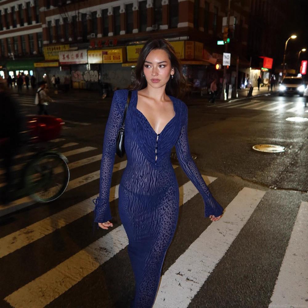 Women's Sexy Deep V Neck Mesh See Through Maxi Dress Leopard Zebra Animal Print Long Sleeve Bodycon Party Evening Clubwear Polyester Spandex Dress