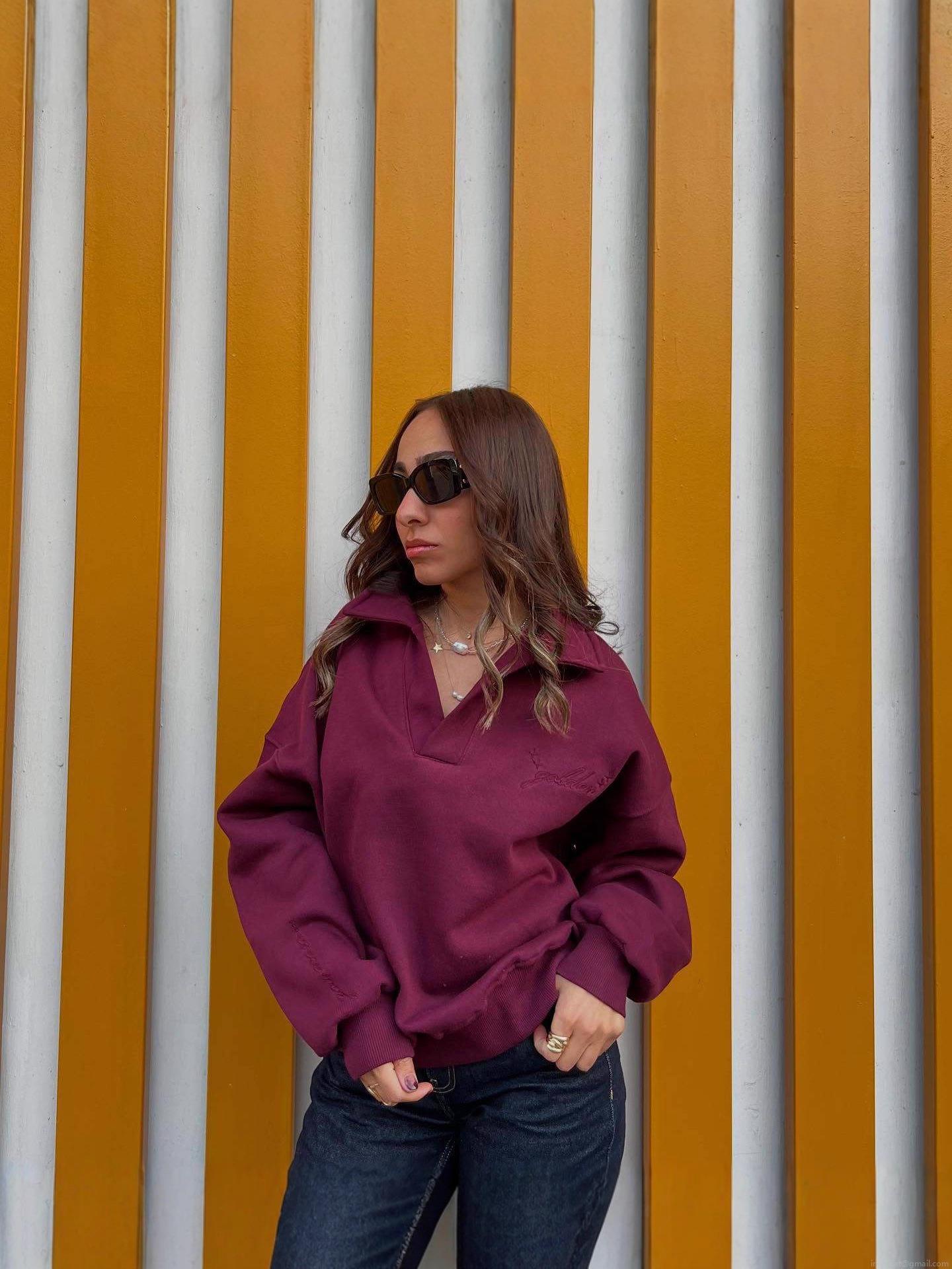 Women's 100% Cotton Polo Collar Sweatshirt With Letter Embroidery Oversized Long Sleeve Pullover Fall Winter European Streetwear Fashion Loose Top
